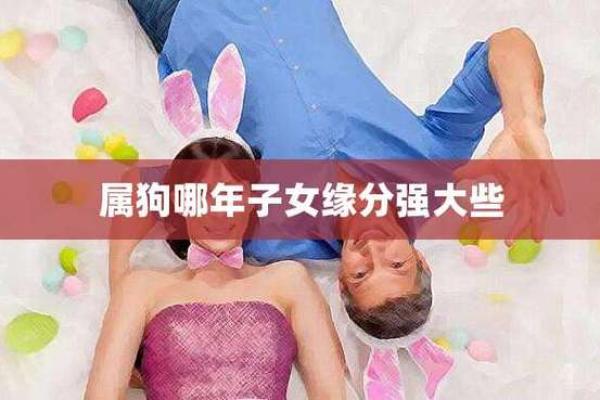 狗年出生的孩子命运解析：如何充分发挥狗年命的优势