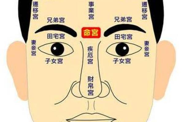 探索面相学：如何从面相看贪财命与好命的秘密