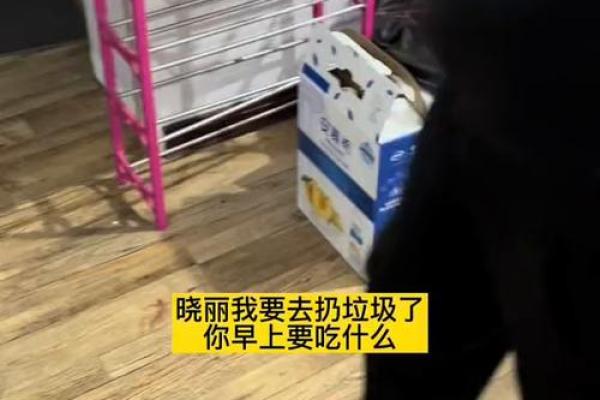 什么叫坐等吃食的命：生活中的等待与不安探讨