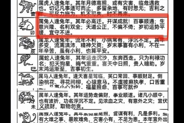 2023年属兔人的命理分析与运势展望