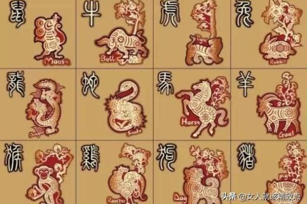 2018年木命人喜爱什么生肖？探寻最佳生肖搭配与运势影响！