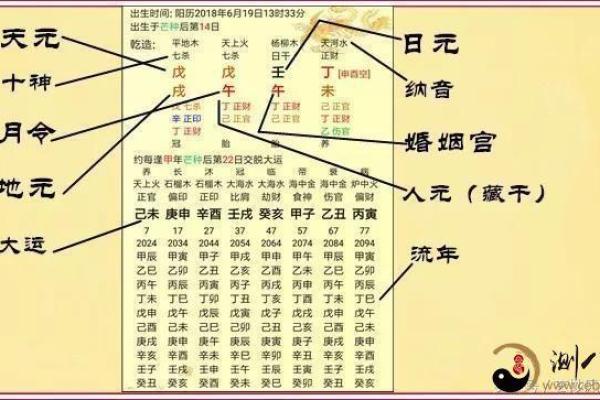 探索三元论命学的奥秘：命、运、运用的智慧之道