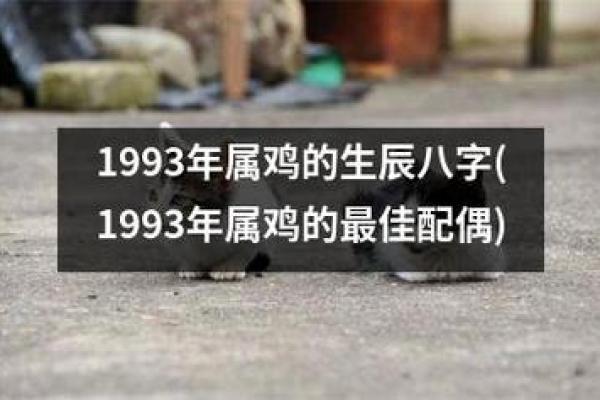 2004年鸡年：命理解析与人生启示