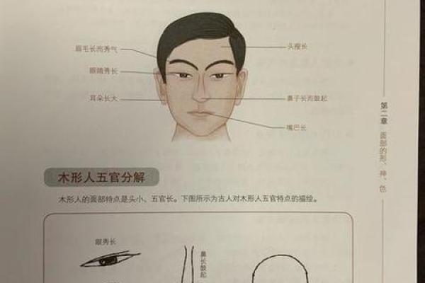 木命男孩命里缺什么？解析命理与人生方向