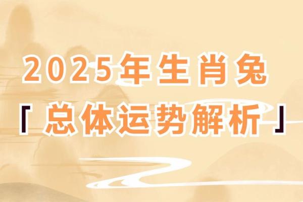 1993年兔年运势及其性格分析：一只随和而聪明的兔子故事