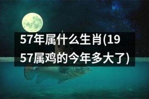 属鸡人士的37岁命运解析：灵动与智慧并存的生活篇章