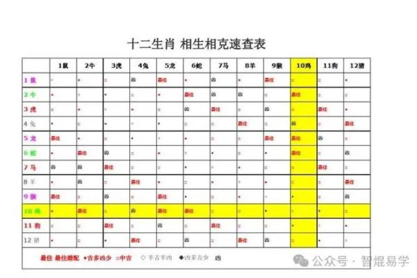 解密2006属狗男孩的命运：探索性格与人生轨迹