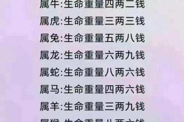 了解你的出生年份，探索命运与性格的奥秘