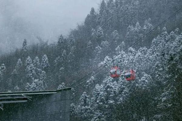 农历冬月十一出生的人命运解析：深邃内涵与人生启示