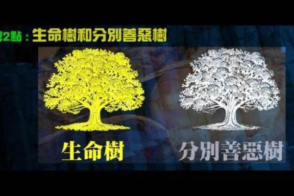 零零年出生是什么命：探秘新世纪的命运与性格特点