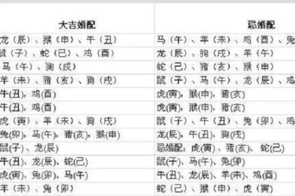 2017年属相鸡的命运解析：性格、事业与感情的全面分析