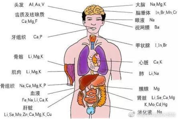 女孩嘴巴尖的命运究竟是什么？从命理角度探讨！