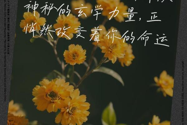 根据名字带什么字什么命，探寻命名的奥秘与美好