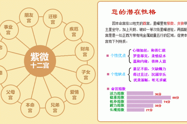 如何免费查询自己的命格与运势，揭秘命理的奥秘！