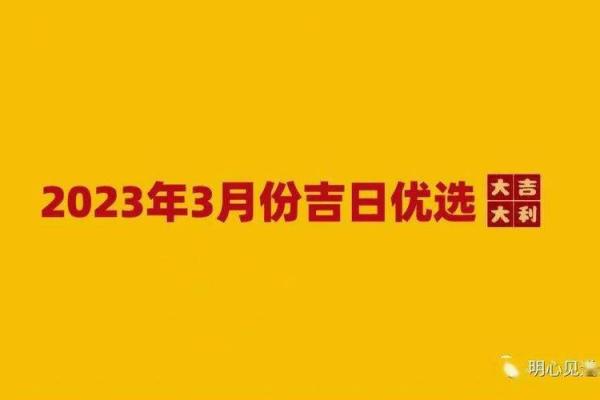 93年出生的人：2023年命运与智慧的交汇点