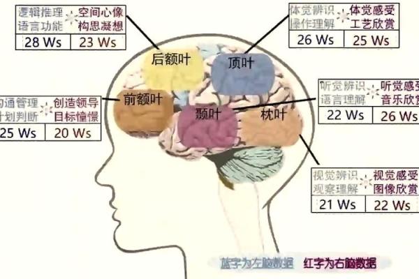 揭示假童女命的神秘特征与命运解析