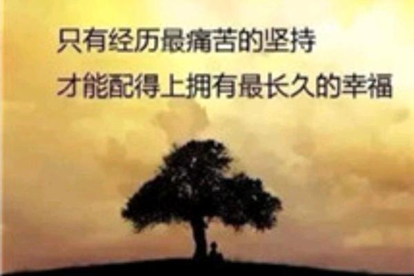 金命与土命的完美搭配：探索命理中的和谐之道