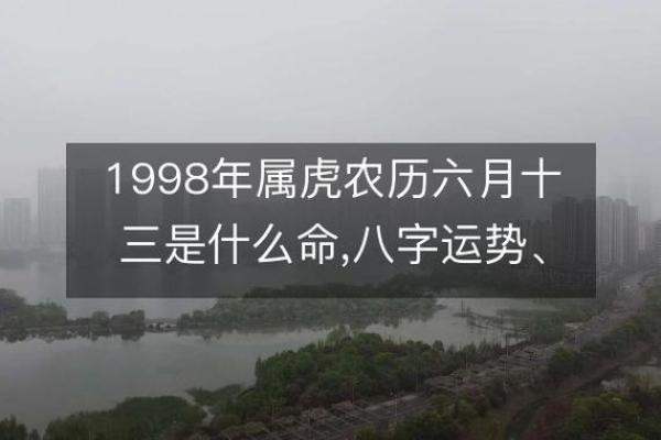 揭秘2020年属虎的命运与性格分析，探索生辰八字的奥秘！