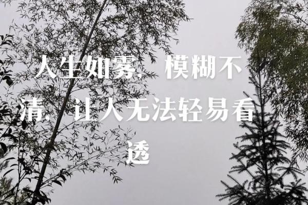 揭开2024命运之谜：如何把握未来生活的方向与机会