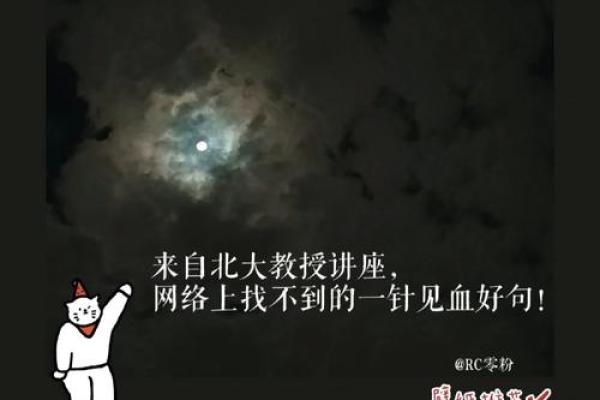 八七年号命：风雨人生的探索与感悟