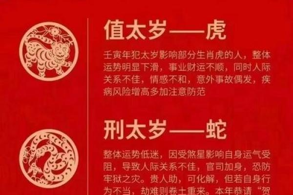 2023兔年男孩命理解析：如何子承父业，迎接美好未来？