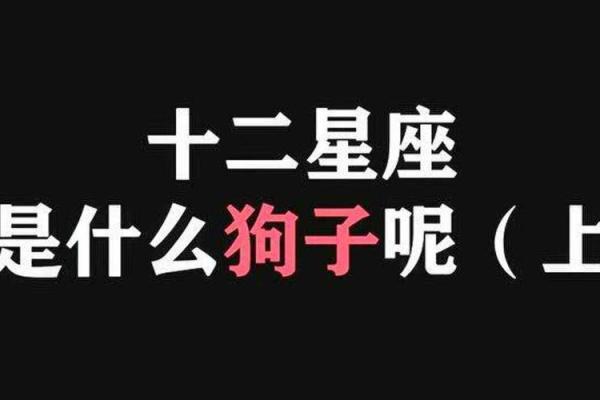 94年的人是什么命？揭秘属狗人的性格与运势