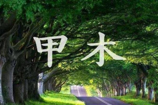 2025年木命运势分析：如何把握机遇，迎接挑战！