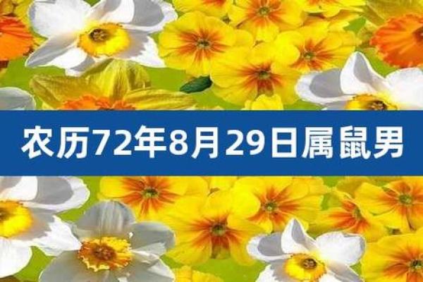 2006年出生的孩子命运分析：揭示他们的潜力与未来发展