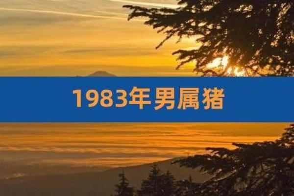 1983年属猪男命运解析：幸福生活与事业成功的关键