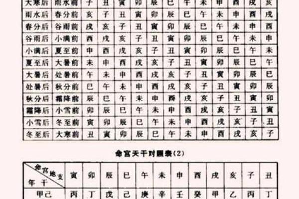 1988年出生的龙：命格解析与人生运势探讨