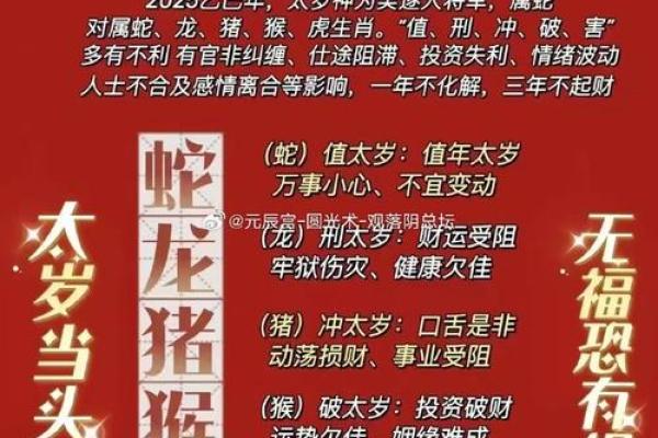 冲太岁：命理学中的时间与运势交锋之谜