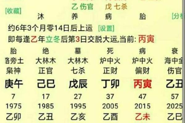 探索四柱命理中的食神：你的命格是否与食神相伴？