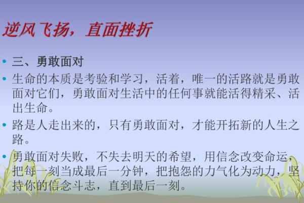 揭秘无桃花命格：如何在生活中迸发出独特魅力与精彩人生