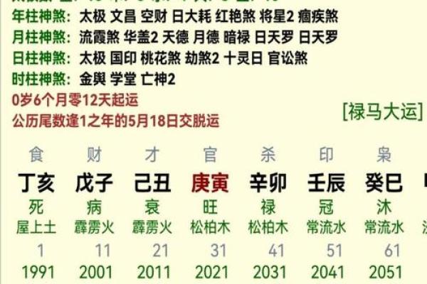 事业运最好的命理分析：如何利用五行与八字开启职业生涯