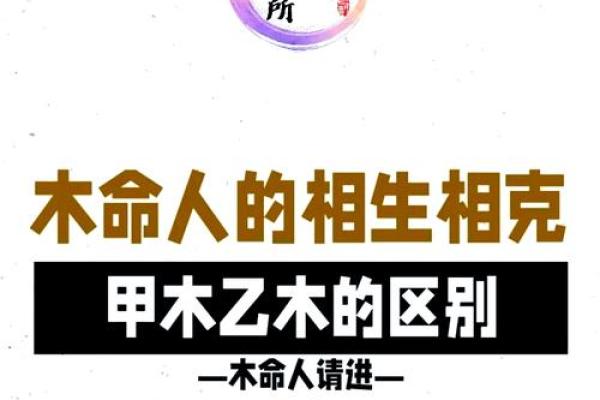 探秘命格的奥秘：为什么不能完全依赖命运来判断人生？