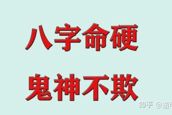 命硬：揭开命理与个人命运的神秘面纱