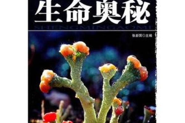 1964年龙年命行解析：探索命运与性格的奥秘