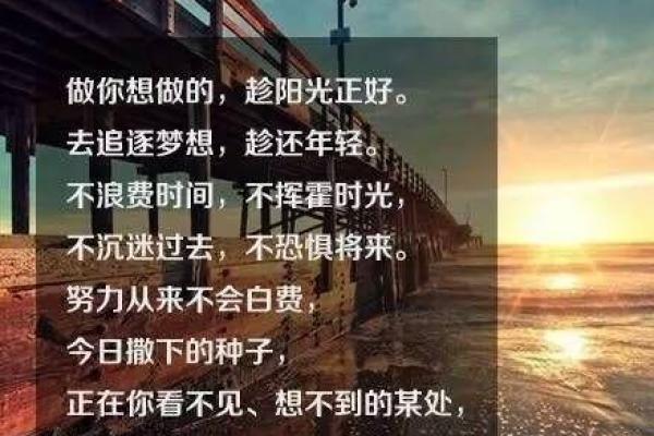 1985年牛年出生的命运解析：稳重与奋斗的完美结合