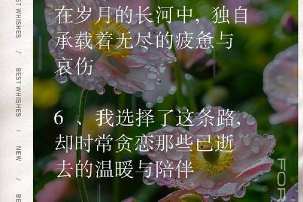 孤单的人是什么命格？探讨孤独与命运的深刻关系