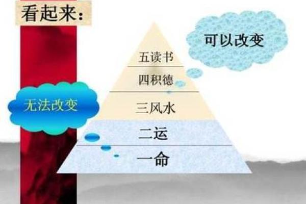 解读“多命换一命”的深意与人生态度