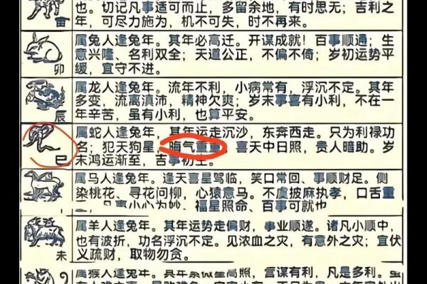 1999年兔年出生的人命运解析与运势指导