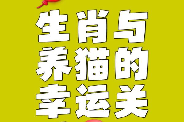 深入探索11973年属鼠的命运与特征，解析生活与性格内涵