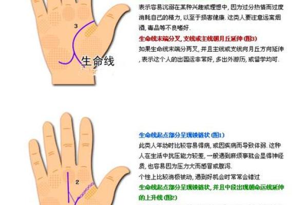 探索“命”的多重含义：从运势到生命的深刻思索