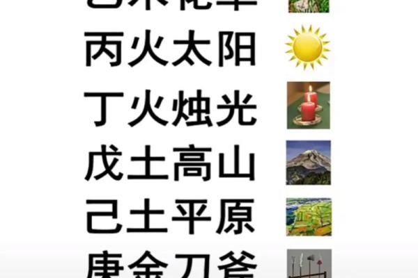 2021年命理解析：解读五行与生肖的流年影响与生活指导