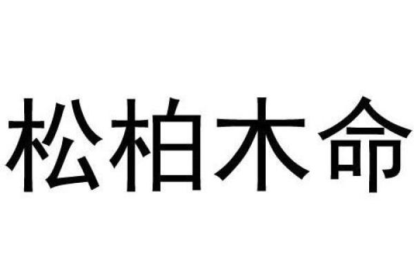 松柏木命夫妻如何选择最适合孩子的命理，让家庭更幸福