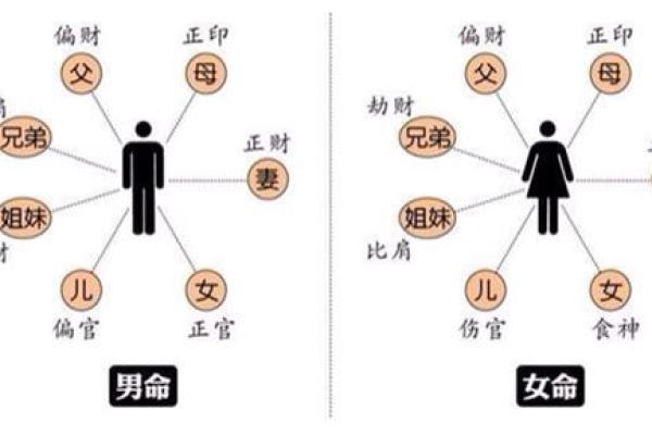 1984年腊月命运解析：探索命理学中的深奥秘密