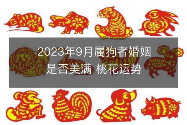 属狗人2023年37岁运势分析：命理、事业与情感的深度解析