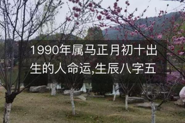 90年属马女性命运解析：智慧与敢于追求的完美结合