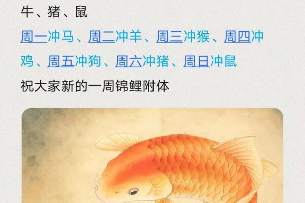 2017年属鸡命理解析：缺什么、要补什么，助你好运连连！