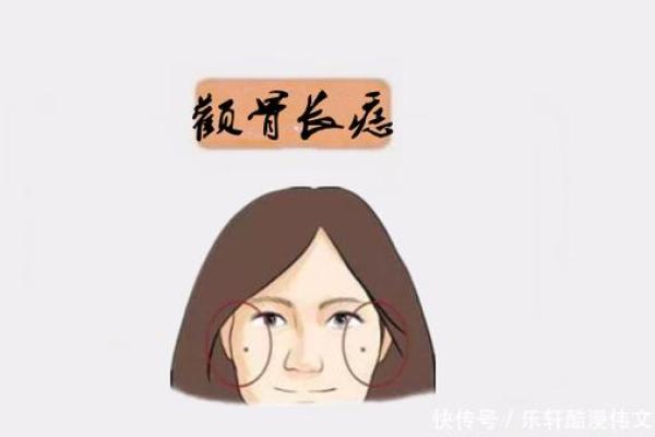 2019年45岁女性的命运解析：揭秘运势与生活的深层联系